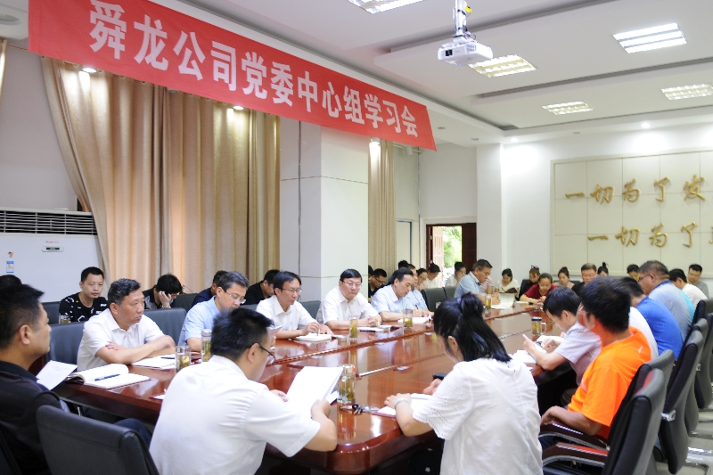 舜龍公司召開“講忠誠、嚴紀律、立政德”專題警示教育動員會